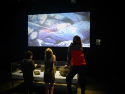 Fiml ‘Souvenirs of The Creation’ installation at the Science Gallery, Trinity College Dublin, as part of 'Life at The Edges exhibition, 2018. ‘souvenirs of the creation’ installation at the science gallery, trinity college dublin, as part of life at the edges exhibition, 2018.
